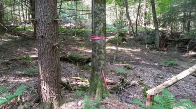 336 Beaver Pond Hill Rd, Richmond, VT 05477 - photo 2