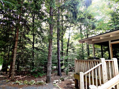 5429 Woodland Ave, Pocono Pines, PA 18350 - photo 5