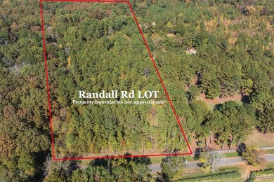 000 Randall Rd, Cecil, AL 36013 - photo 2