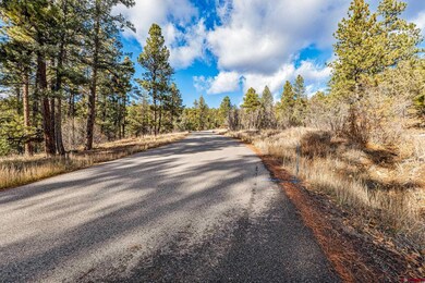 701 Durango Cliffs Dr, Durango, CO 81301 - photo 2