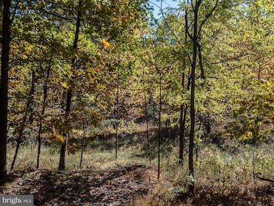 0 Tuscarora Pike Parcel 14, Martinsburg, WV 25403 - photo 7