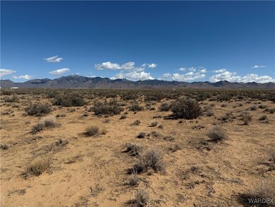 2.5 AC Bonita Dr, Dolan Springs, AZ 86441 - photo 7