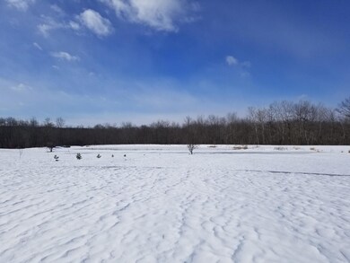 field and pond