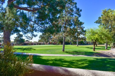 Golf Course Views