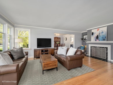 428 E Webster Ave, Elmhurst, IL 60126 - photo 4