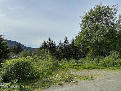 IMG_0078