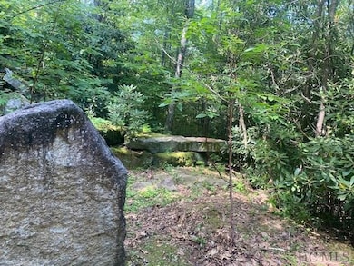 N/A N A, Scaly Mountain, NC 28775 - photo 3