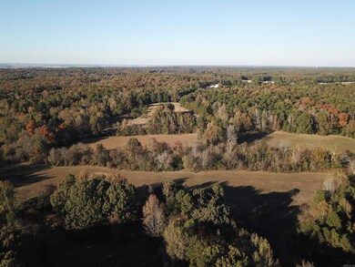 000 Greene Road 788, Paragould, AR 72450 - photo 3