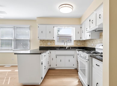 6617 N Northwest Hwy unit 3, Chicago, IL 60631 - photo 7