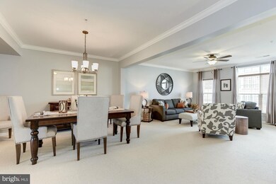 42603 Cardinal Trace Terrace, Ashburn, VA 20148 - photo 7