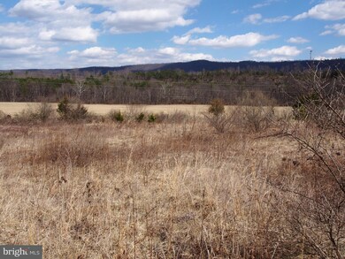 0 Puffenburger unit 1000088937, Hedgesville, WV 25427 - photo 5