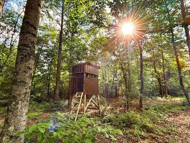 0 Hyde Rd, Phil Campbell, AL 35581 - photo 3