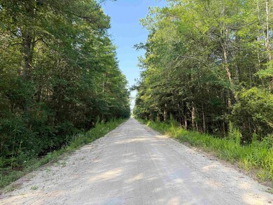 TBD Wolf Pit Bay Rd, Nichols, SC 29581 - photo 5