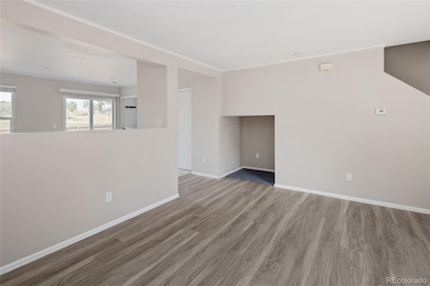 10133 Eudora Ct, Thornton, CO 80229 - photo 6