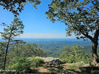 2820 Dupont Springs Rd, Sevierville, TN 37876 - photo 6