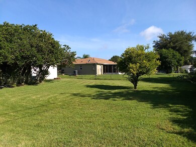 Expansive Yard