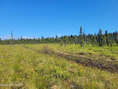 Tr 12 Tomski Ave, Anchor Point, AK 99556 - photo 6