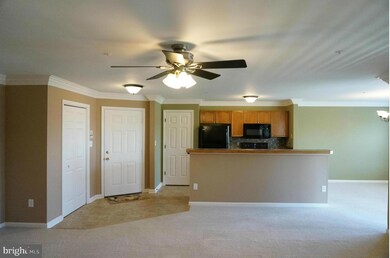 2402 Ellsworth Way unit 2C, Frederick, MD 21702 - photo 6