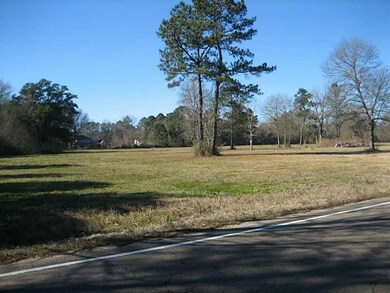 0 S Veterans Ave unit 2135212, Hammond, LA 70403 - photo 4