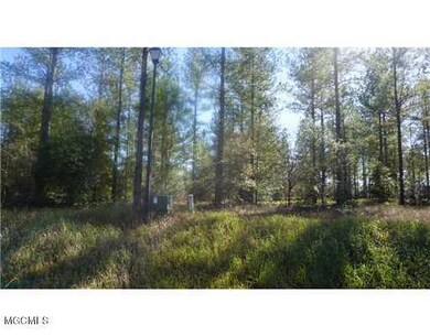 Lot 5 Bennie Wall Rd, Lucedale, MS 39452 - photo 5