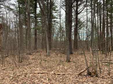 18 Mud Pond Rd, Windham, ME 04062 - photo 5