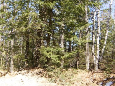 00-A Youngs Hill Rd, Freedom, NH 03836 - photo 7