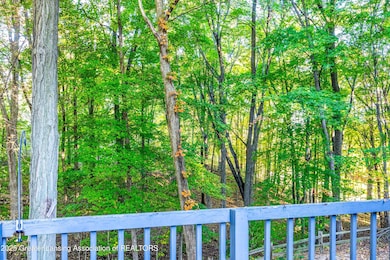 View of Woods from Deck