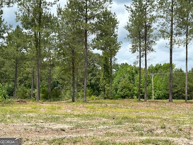 0 Dewey Thomas Rd unit LOT 15 10589727, Dexter, GA 31019 - photo 6