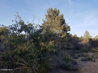 0 W Panorama unit 225005664, Llano, CA 93544 - photo 6