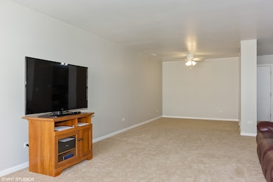 1851 Towhee Ct, Joliet, IL 60435 - photo 3