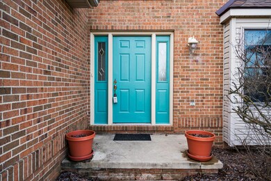 63-web-or-mls-DSC03623