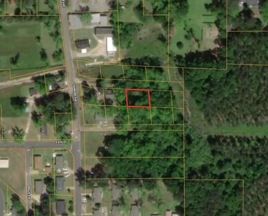 0 Hicks St, Luverne, AL 36049 - photo 5