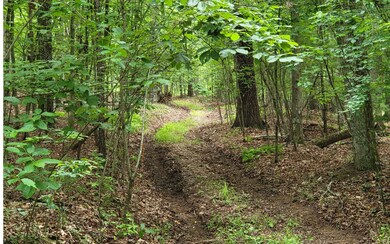 Additional View