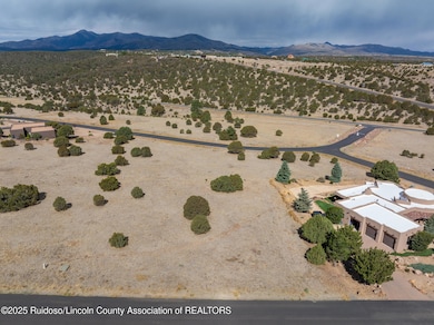 DJI_20250517093600_0735_D