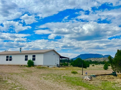 17 Jackass Ln, Datil, NM 87821 - photo 3