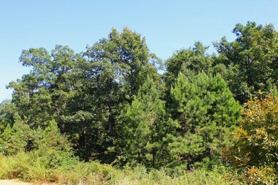 View from side road