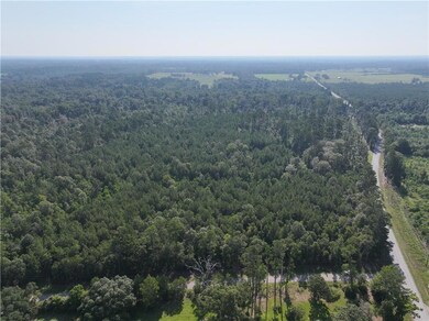 0 Louisiana 1045, Amite, LA 70422 - photo 6