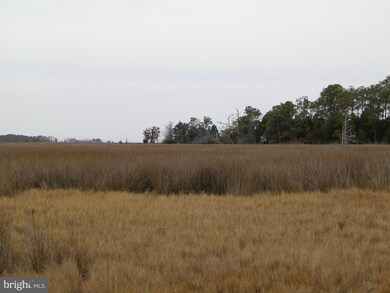 1748 E Tedious Creek Rd, Toddville, MD 21672 - photo 5