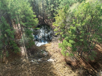 00 Cr 2237, Bagwell, TX 75426 - photo 6