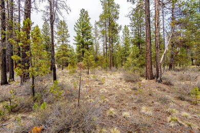 16337 Mule Deer Lane_0011 copy