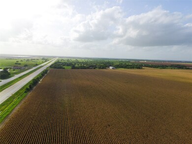 0 Spur 10 Rd unit 55940224, Rosenberg, TX 77471 - photo 4