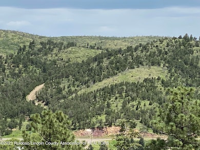 TRACT 3 Hwy 37, Angus, NM 88316 - photo 3