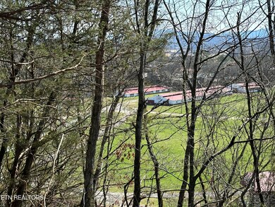 000 Dandelion Dr, Newport, TN 37821 - photo 7