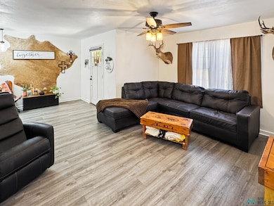 1003 N Edwards St, Carlsbad, NM 88220 - photo 6