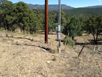 33079 Mountain Meadow Overlook unit Lot D11, Trinidad, CO 81082 - photo 4