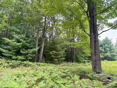 6362 Cedar Trace, Canadian Lakes, MI 49346 - photo 3