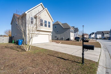 03_426BaldCypressLn3_mls