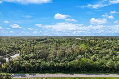 140 Shady Hollow Blvd W unit 1, Naples, FL 34120 - photo 4