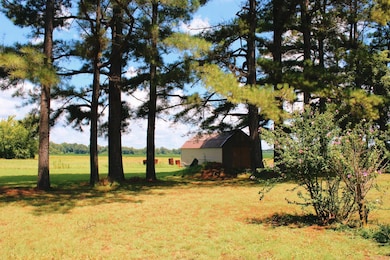 505 Highway 49, Rector, AR 72461 - photo 5