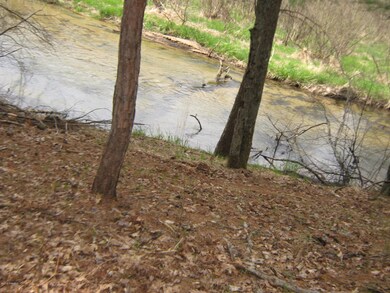 0 Rose St S unit 15022261, Idlewild, MI 49642 - photo 2